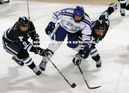 B体育-比利亚雷尔主场崭露头角 新星可乐FREE掀起绿色胜风