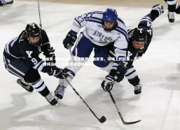 B体育-欢呼雀跃，足球联赛一触即发，球场上的较量，笑看风云！，足球球迷欢呼视频