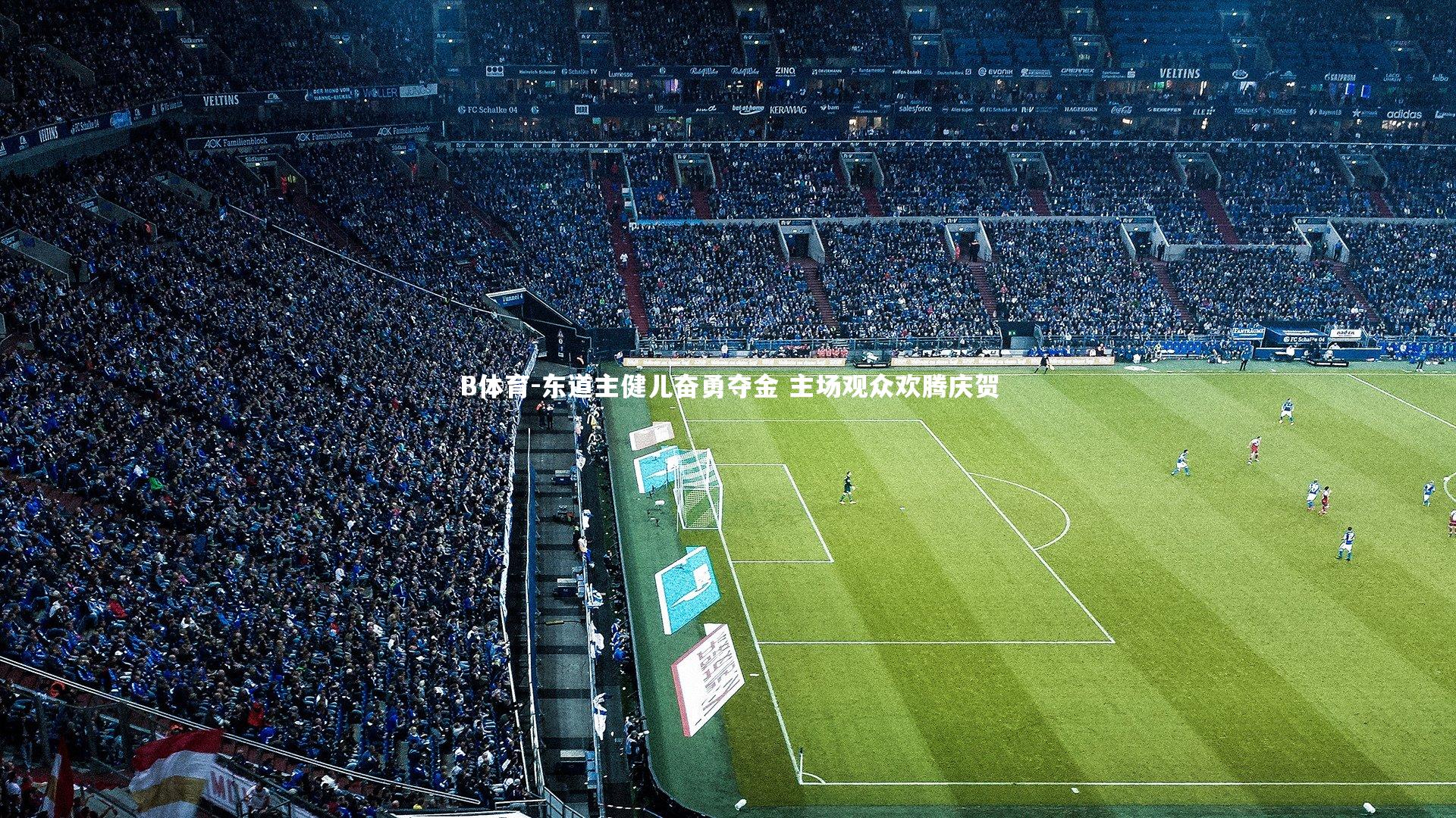 东道主健儿奋勇夺金 主场观众欢腾庆贺